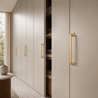 Poignées de porte d'armoire de cuisine en aluminium nickel brossé gris doré, modernes et personnalisées OEM