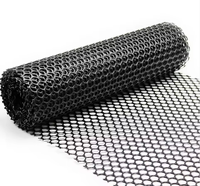Extrudeuse de filet plat en maille HDPE plastique / Machine de fabrication de filet de clôture de jardin en plastique