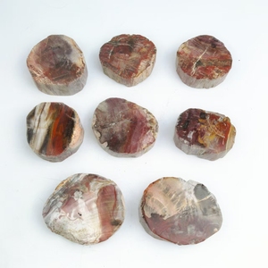 सजावट के लिए थोक प्राकृतिक क्रिस्टल पॉलिश किया हुआ पत्थर लकड़ी जीवाश्म टुकड़ा नमूना - Product Image 3