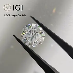 GIA IGI Certified Hpht Loose Diamonds 1.0CT D E F VS1 VVS Cvd Diamond Lab Grown Real Lab Diamond Loose