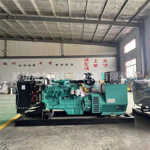 เครื่องกำเนิดไฟฟ้าดีเซล Weifang Steyr ขนาด 200-300 กิโลวัตต์ สำหรับอุตสาหกรรมเพาะเลี้ยงสัตว์น้ำและระบบไฟฟ้าสำรองฉุกเฉิน - Product Image 3