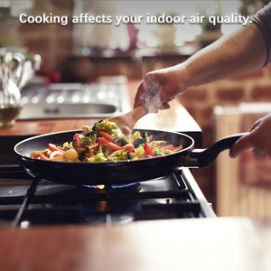 PT02 Plus Wi-Fi Air <strong>Quality</strong> Monitor Detects Pollen TVOC CO CO2 PM1.0/2.5 Temp. RH IP54 IoT <strong>Controller</strong> for Home - Product Image 5