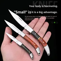 Draagbaar Mini Vouwmes Voor Outdoor & Camping Hoge Hardheid Roestvrij Staal Mes Hout Handvat Huishoudelijk Fruit Snijgereedschap