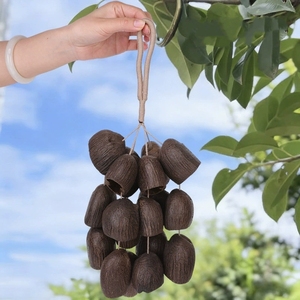 Wholesale Handcrafted Fruit Shell <b>String</b> Hanging Decor Multiple Style Natural Wind Chime Souvenir - Product Image 2