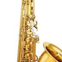 Profesional Bb Tenor Saxophone Gold Lacquer Surface Brass Body B-flat Bakelite Mouthpiece Woodwind Instruments with Accessories