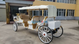 Electric Car White Victoria Sightseeing Horse Carriage Wedding Sightseeing Customized Horse Carriage Special Transportation - Product Image 6