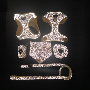 Arnés reflectante para perros, arnés para mascotas que brilla en la oscuridad, Correa y <span class=keywords><strong>collar</strong></span>, juego de bandana para bolsa de caca, Juego 6 en uno, arnés que brilla en la oscuridad - Product Image 1