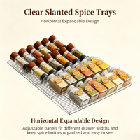 Organisateur de tiroir à épices extensible, plateau à épices incliné en acrylique transparent pour le rangement des pots d'assaisonnements de cuisine