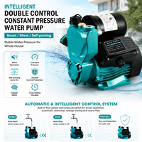 Pompe à eau intelligente à haute pression à auto-amorçage à double commande intelligente à pression constante (type intelligent)
