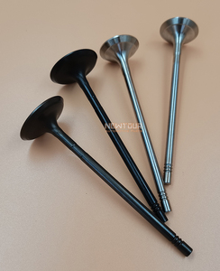 Repuestos G10เครื่องยนต์ไอดีวาล์ว<span class=keywords><strong>ไอ</strong></span>เสียสำหรับ LDV SAIC มอเตอร์20L4E,G10อะไหล่รถยนต์ - Product Image 2