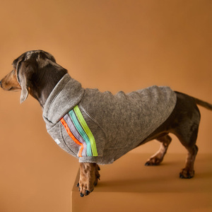 Qiqu pull à col roulé <span class=keywords><strong>teckel</strong></span> personnalisé pour chiens manches à rayures multicolores mignon nouveau maillot de fournitures pour animaux de compagnie - Product Image 1