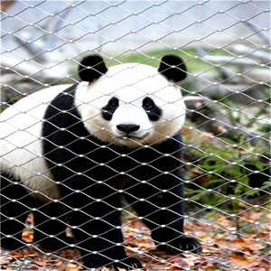 Heavy-Duty Stainless Steel <strong>Wire</strong> Rope <strong>Mesh</strong> - Woven From 304/316 Cable for Fall Protection, <strong>Zoo</strong> Enclosures, and Debris <strong>Netting</strong> - Product Image 4