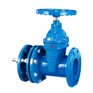 Guangdong Magnesium Special Sz45x Telescopic Resilient Seated Gate Valve Dn100 Pn16 For Water Flow Control - Product Image 3