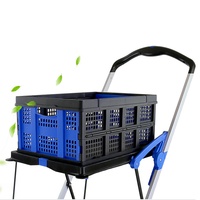 Chariot à provisions pliable en plastique mobile à deux étages Chariots à main de rangement avec étagère mobile Chariots avec caisse de rangement