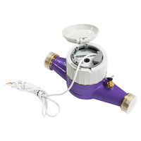 DN15-DN50 classe B classe C NPT filetage cadran sec corps en laiton compteur d'eau multi-jets avec ligne d'impulsion