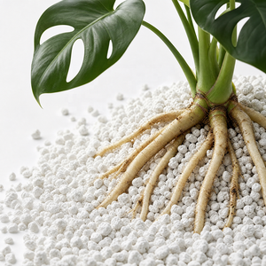 Perlite expansée blanche Jinshi Hebei, directement de l'usine, 1-8mm, pour horticulture et hydroponie, 100L/sac, vente en gros - Product Image 5