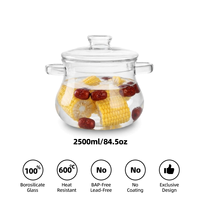 Marmite en verre borosilicate en gros 2500ml / 84.5oz OEM ODM Marque privée pour Hôtels, Restaurants, Traiteurs, Vente en gros