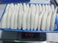 Tube de calmar congelé propre entier Tube de calmar congelé Illex Argentine Tube de calmar de toutes tailles U3 U5 U7 U10