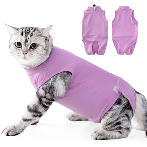 Combinaison de récupération post-opératoire pour chat, anti-léchage, pour la convalescence après stérilisation, vêtement médical, vente en gros - Product Image 4