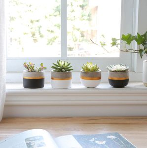 Planteur à ciment Succulent moderne 3-4 pouces, Pots de fleurs en béton, Mini Pot de ciment pour herbe de Cactus d'<span class=keywords><strong>intérieur</strong></span>, offre spéciale - Product Image 4