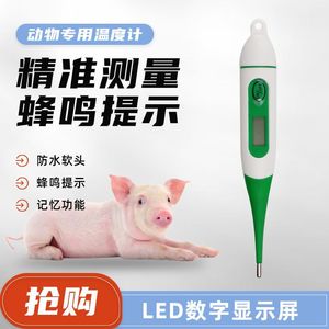 Termómetro digital veterinario para cerdos con punta suave, fácil de usar, portátil, eléctrico, de plástico, con certificación CE - Product Image 5