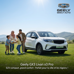 GEELY AUTO Geely GX3 Livan 1.5L PRO: Auto a Benzina Nuova, Conveniente, Resistente, Veloce, Completamente Certificata e Omologata per la Circolazione Stradale - Product Image 2
