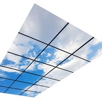 Panneau LED 3D décoratif moderne Contrôle sans fil bleu intelligent pour plafonnier avec corps en aluminium Nuages blancs