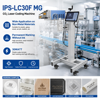 Machine de marquage laser industrielle IPS-LC30F MG pour bouchons en plastique, cartes en papier, date, numéro de lot avec certificat CE
