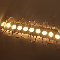Les modules menés rouges blancs lumineux superbes ont mené les lumières simples de module pour annoncer l'éclairage