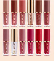 Sam Sugar 12 couleurs en forme de livre minéral imperméable à l'eau brillant à lèvres mat antiadhésif Kit de rouge à lèvres glaçure
