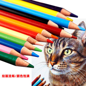 Y622 Vente en gros de crayons de couleur mini multicolores 6/8/12/24 pour artistes, crayons de couleur en gros, crayons scolaires - Product Image 6