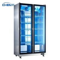 Réfrigérateurs mécaniques Sub Zero, vitrine de présentation de boissons, réfrigérateur à vin et à bière en libre-service pour usage commercial