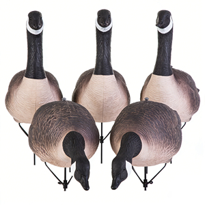 Décoy de chasse en EVA durable, directement de l'usine, pour oies sauvages, decoy de terrain, decoy d'oiseaux d'extérieur, activité de plein air, decoy 3D réaliste multi-positions - Product Image 4