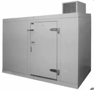 Easy to install Cold Room with monoblock unit Walk in Freezer