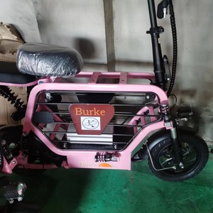 Bicicleta Eléctrica Plegable Compacta, Mini Bicicleta Urbana con Pedales, Alcance de 50 km, Motor sin Escobillas, para Mascotas y Niños, Batería de Litio - Product Image 5