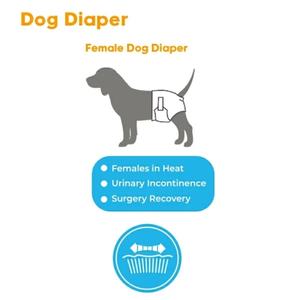 Pannolini per Cani Usa e Getta Super Assorbenti e Impermeabili, Direttamente dalla Fabbrica, per Cani Maschi e Femmine, Addestramento Cuccioli, Tutte le Taglie - Product Image 2