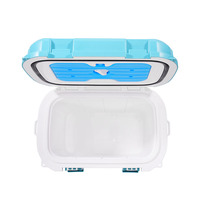 Panier isotherme portable 10QT personnalisé, étanche et durable, pour usage vétérinaire et pêche, réutilisable, style moderne, en PP, pour canettes de sang