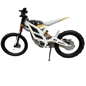 Motocicleta Todoterreno 79 Bike con Sistema de Control Inteligente, Motor Silencioso y Ecológico, Alto Rendimiento y Velocidad - Product Image 1