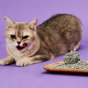 PETKIT-Arena mixta para gatos <span class=keywords><strong>Everclean</strong></span> 5 en 1, bentonita desechable, tofu, sin polvo, fuerte AGLOMERACIÓN - Product Image 6