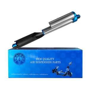 2010-2016 <span class=keywords><strong>Amortisseur</strong></span> de suspension pneumatique de voiture automatique de haute qualité ASH-24541 BL3Z18125J arrière pour F150 SVT Raptor STX XLT - Product Image 2
