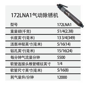 เครื่องขัดสนิมแบบลม Ingersoll Rand รุ่น 172LNA1 แบบลวดเข็ม สำหรับงานเจียรและขัดเงา - Product Image 3