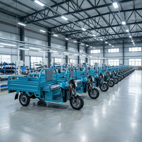 Electric Tricycle Open Body 1000W GCC Three-wheel Cargo Motorcycle 40km/h Long Range 500kg Payload Electric Three-wheeler