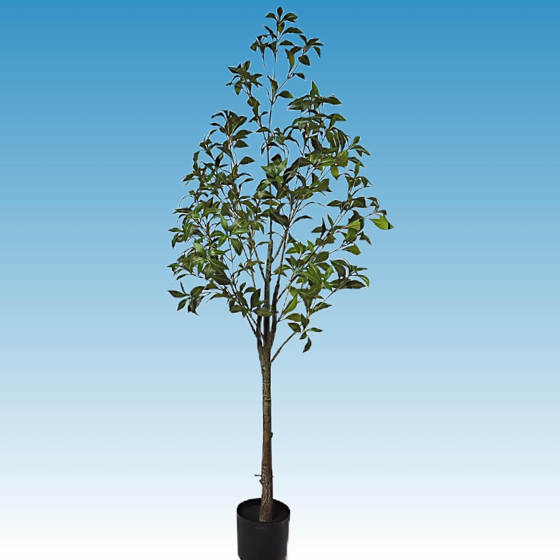 150cm cheval bois ivre avec bassin noir