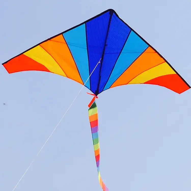 Venta de calidad superior Weifang Easy Flying Rainbow Delta Kite con logotipo impreso personalizado