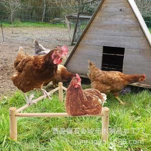 Solid Wood <b>Bird</b> Perch Triangle Shape Durable For Chicken Duck Goose Pet Training <b>Stand</b> - Product Image 2