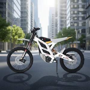 Motocicleta Todoterreno 79BIKE 2025, Velocidad Máxima 100KM/H, Motor Central de 72V 16.8KW, Alto Rendimiento - Product Image 1