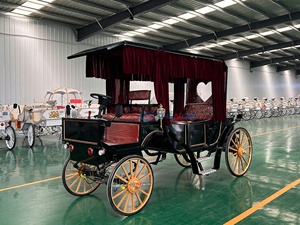 Carroza de Caballos Zhenda para 6 Personas, para Paseos Turísticos al Aire Libre, Bodas Románticas, Estructura de Acero, Neumáticos de Goma Sólida - Product Image 5
