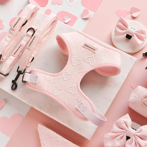 Arnés y Correa para Mascotas (Perros y Gatos) con Diseño de Corazón, de Alta Calidad, de Lujo, con Logotipo Personalizado, Sin Tirones - Product Image 4