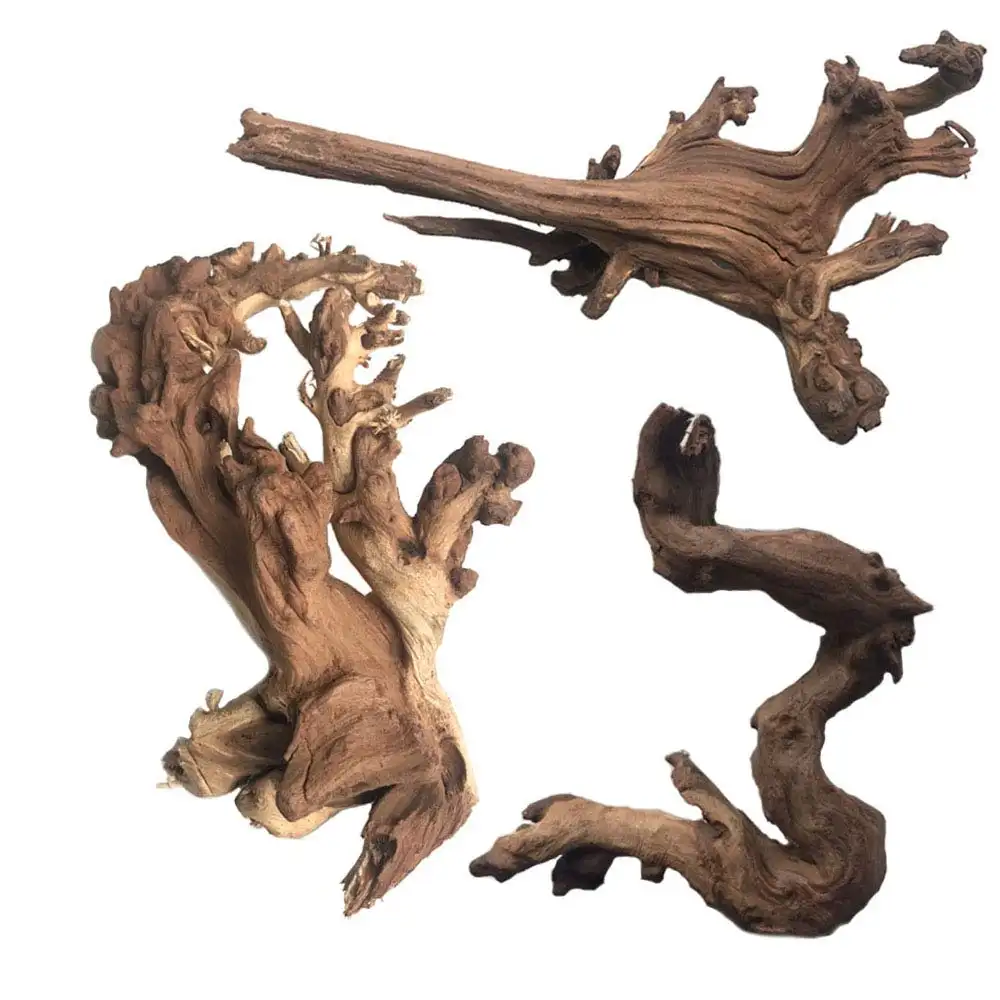 [Oferta] produto especial de driftwood em viet, usado para artesanato com alta qualidade e bom preço