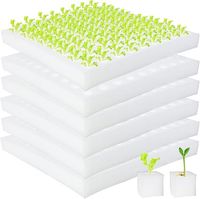 Feuille de panneau de mousse de plateaux de radeau flottant hydroponique pour l'agriculture hydroponique plantation serre culture de légumes